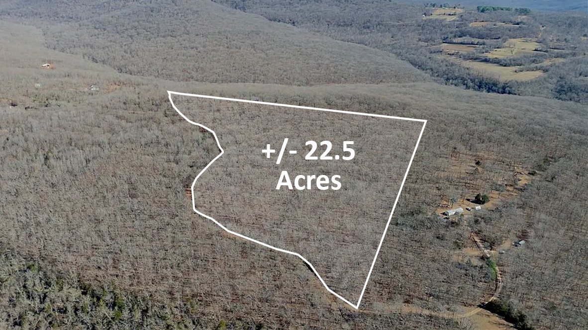 Aerial view of the wooded tract in winter with its approximate boundary outlined in white, ridges running away to the horizon.
