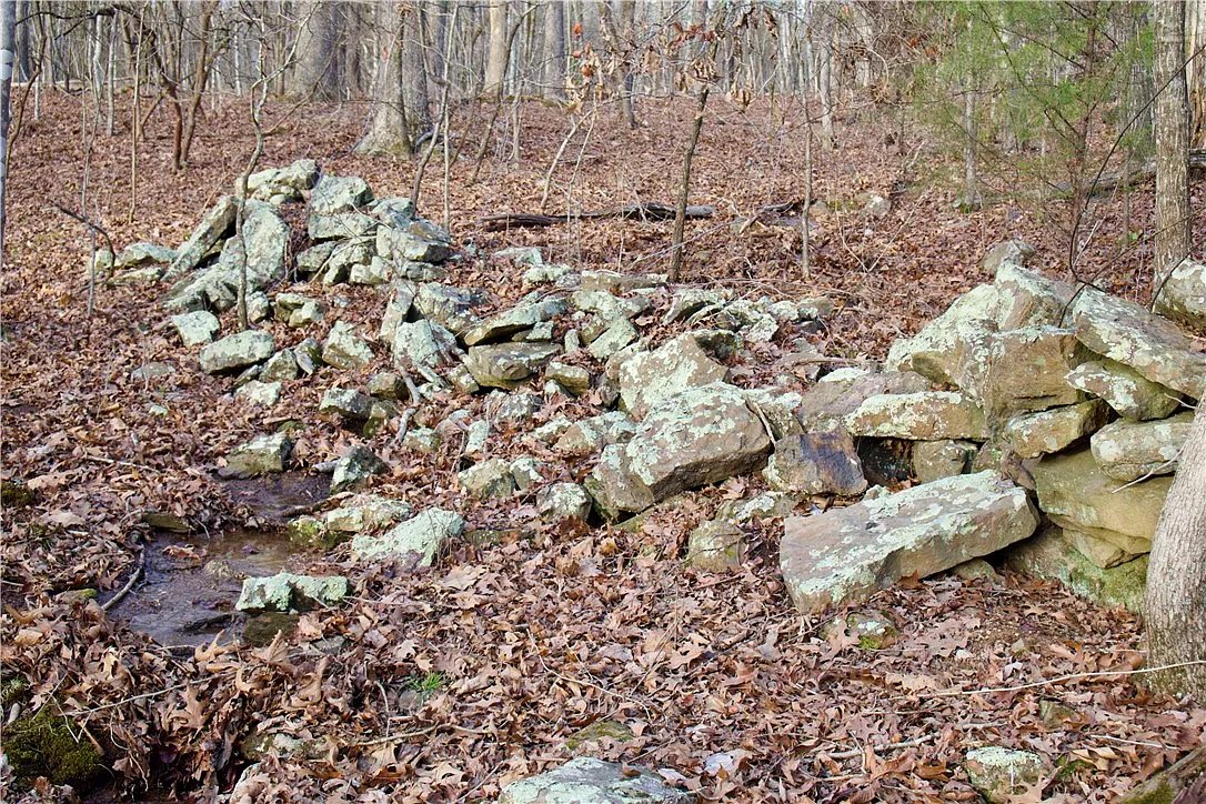 Sandstone rock outcrop among the trees on the tract.