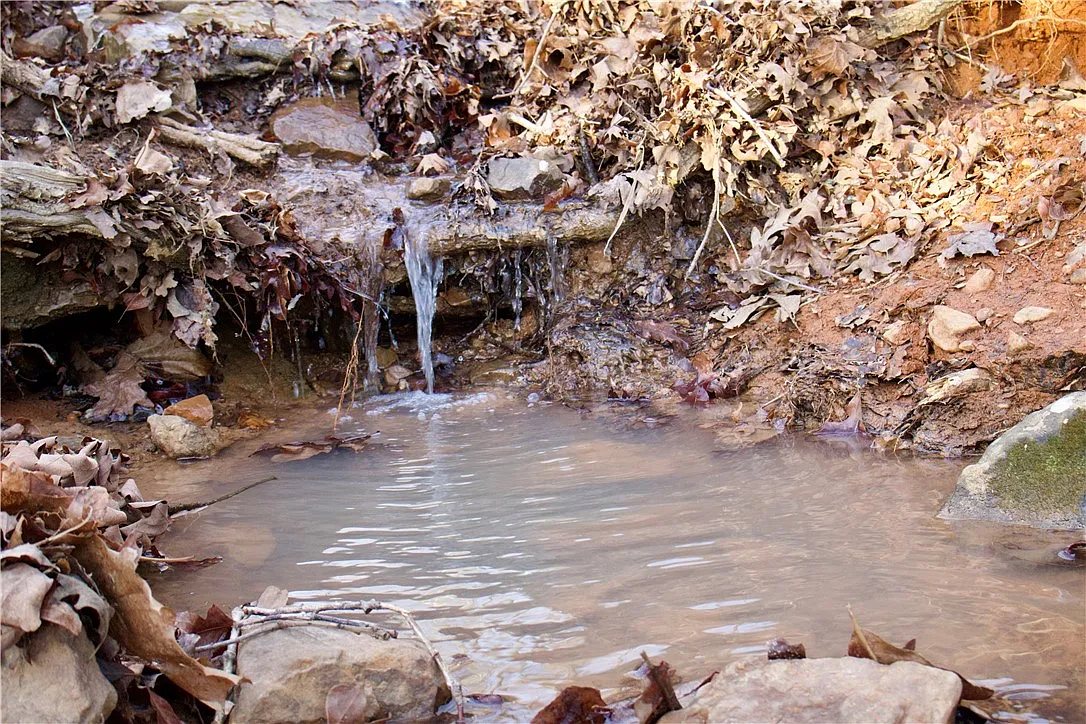 A small water feature running through rock and leaf litter on the tract.