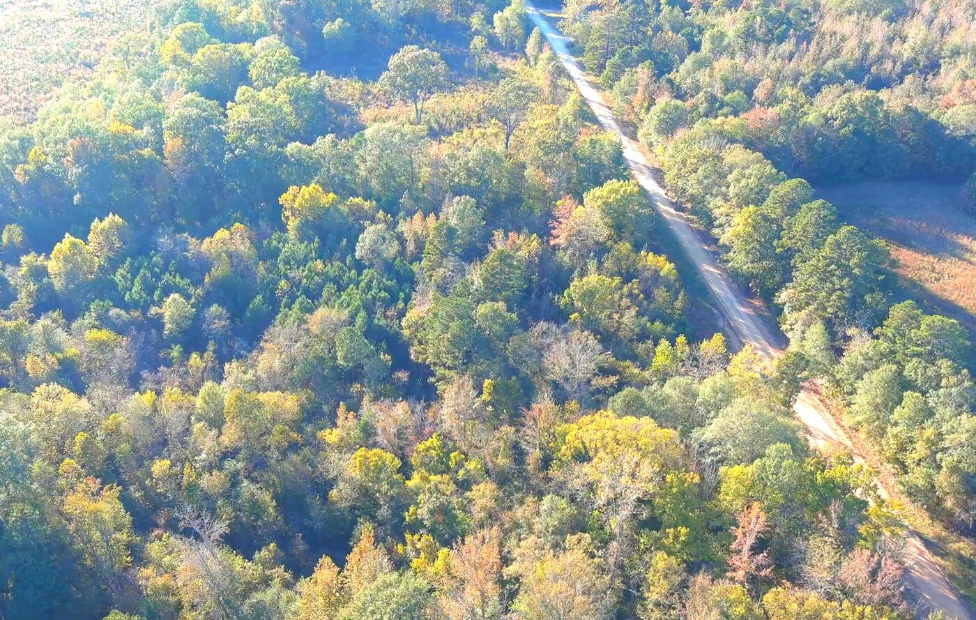 Wider drone view showing the parcel in its surrounding timber and the road.