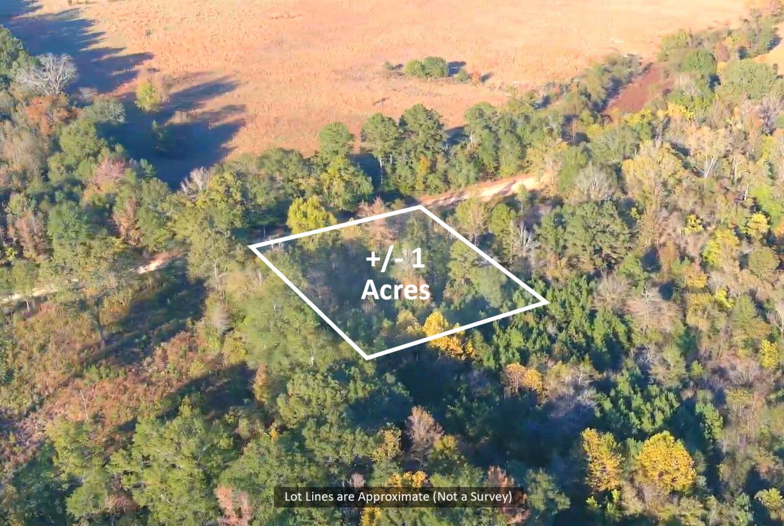 Aerial view of the one-acre tract on Butler Road with its approximate boundary outlined in white.