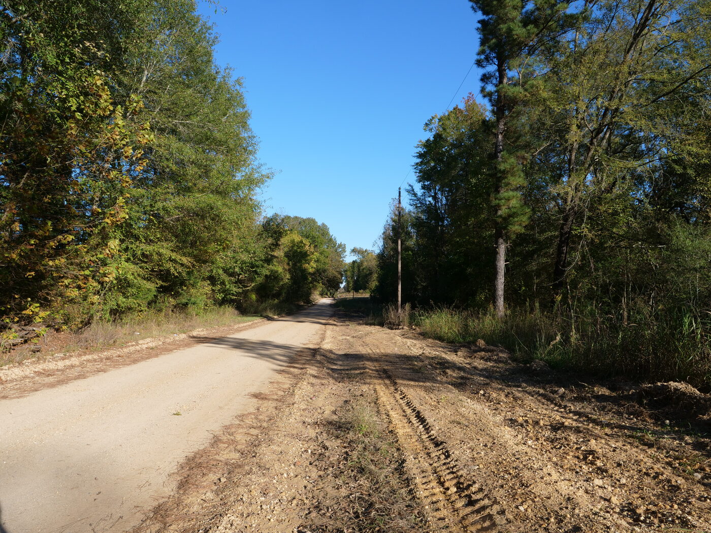 Butler Road running east past the property, gravel surface with trees on both sides.