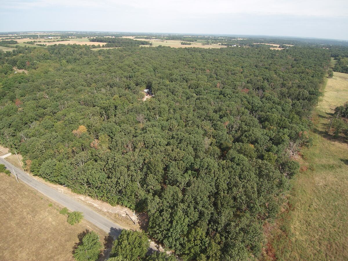 Aerial view over the timber block, the county road running along its southern edge.
