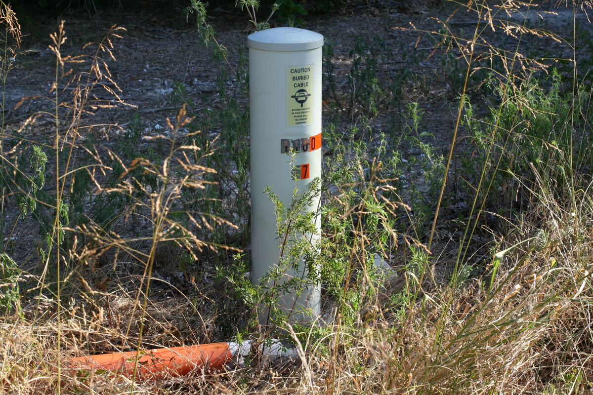 Utility marker post in the grass at the roadside.