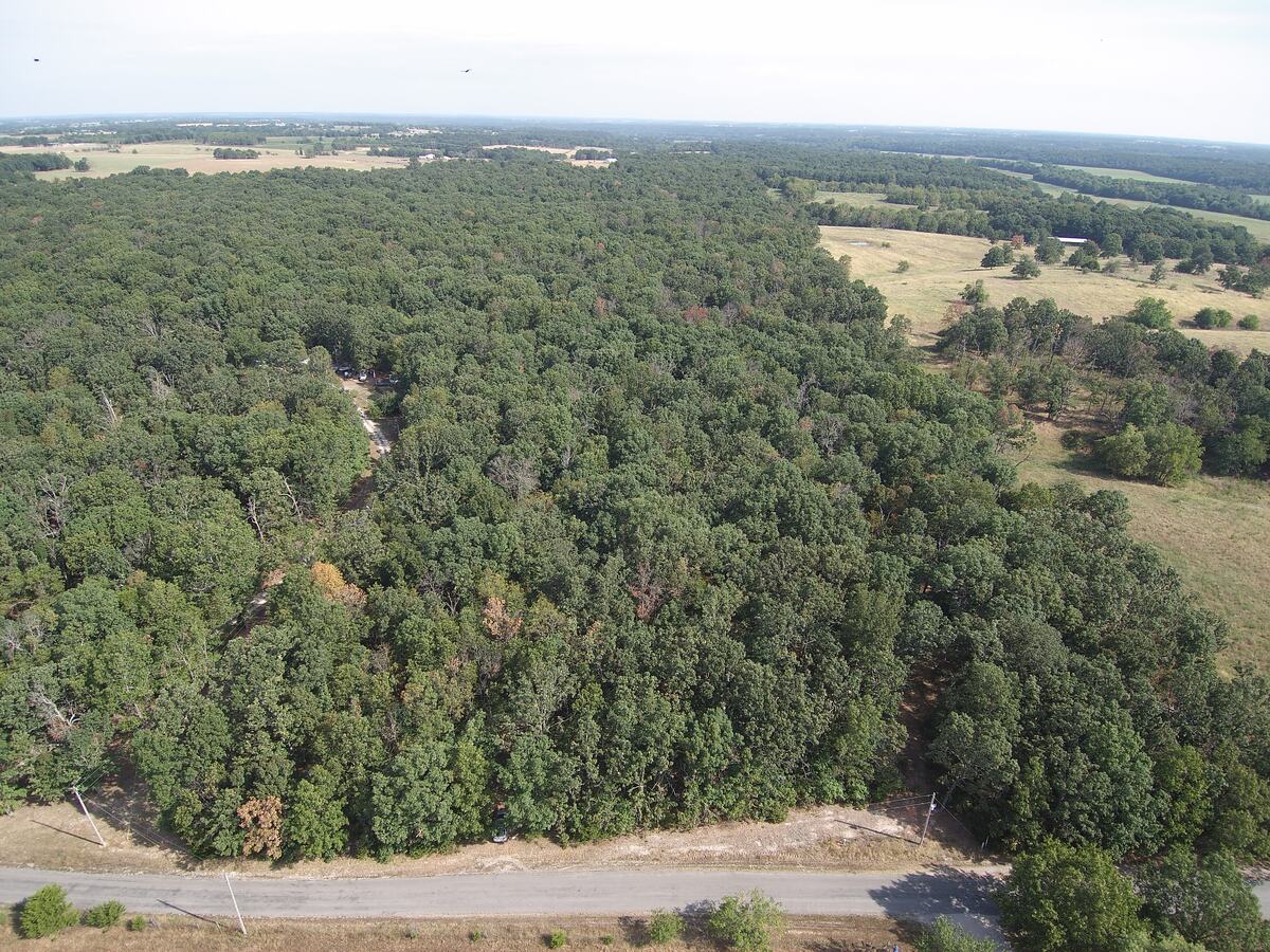 Aerial view south over unbroken timber with farmland on the horizon.