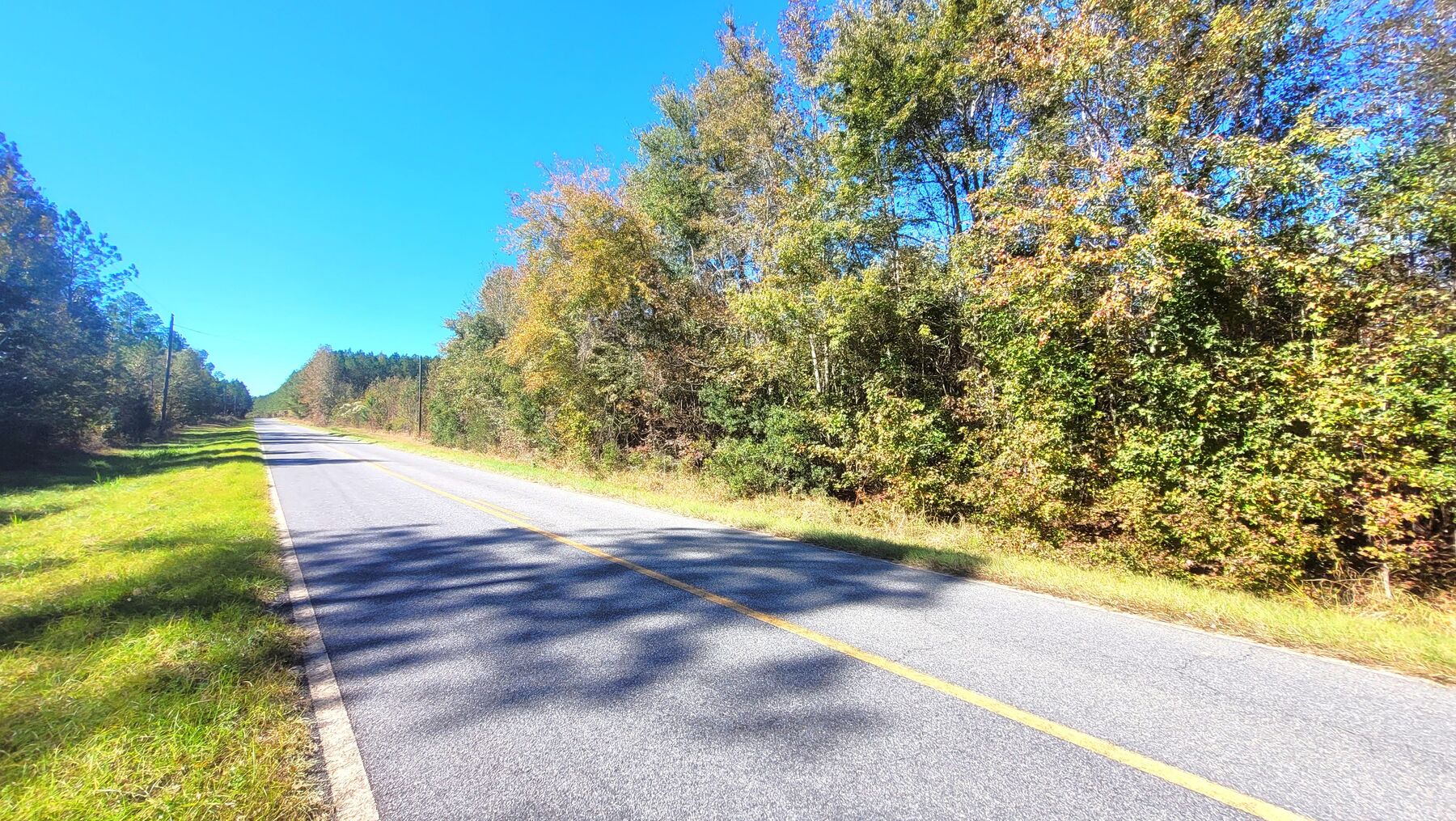 Ground view of the paved road and the wooded frontage under a blue sky.