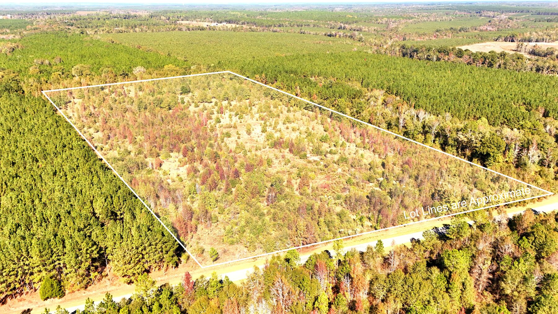 Drone photo of the 27-acre tract outlined in white, young regrowth inside the lines, pine plantation around it, the paved road along the front.