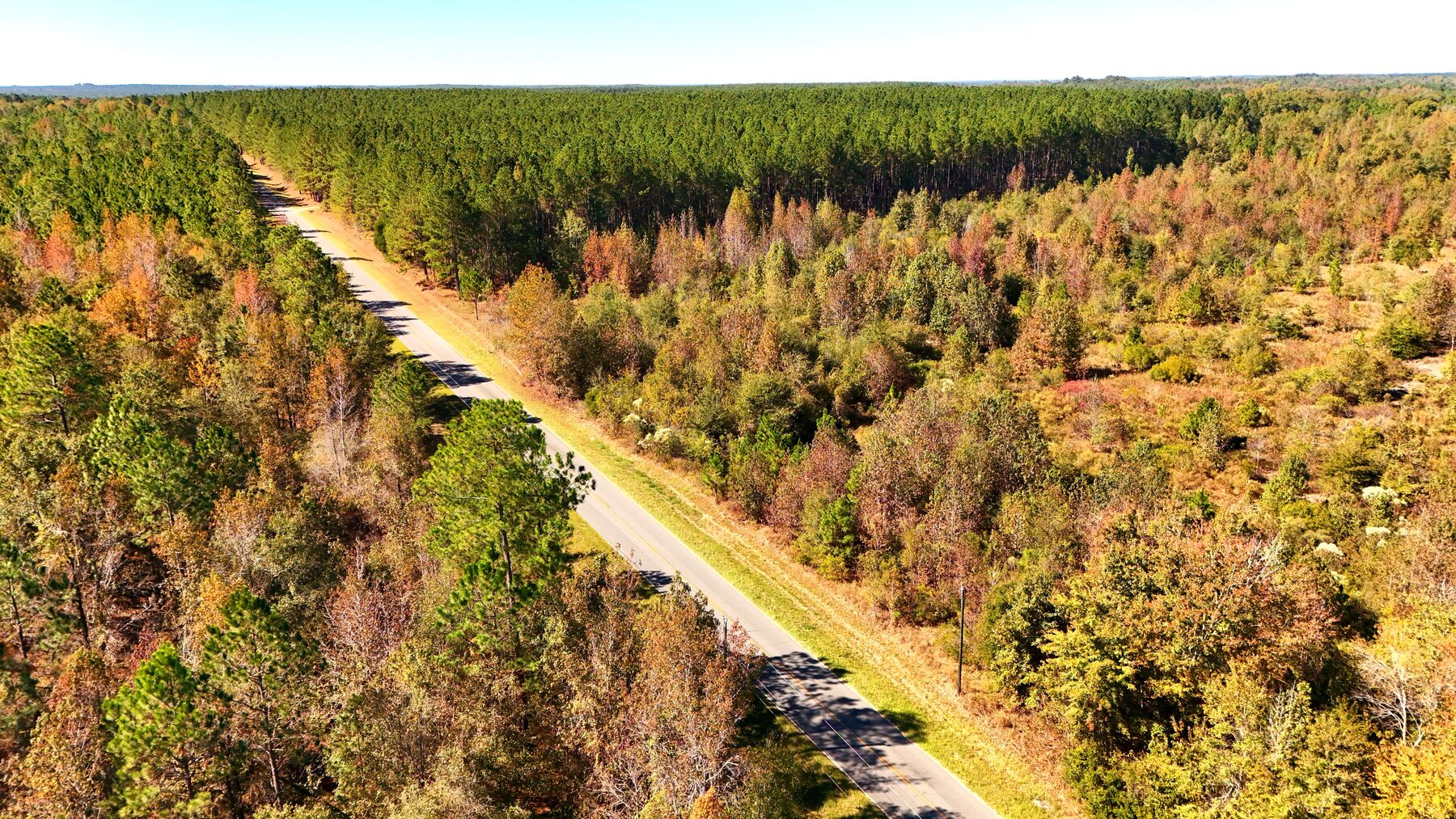 Drone view along the paved road with the tract on one side, autumn regrowth.