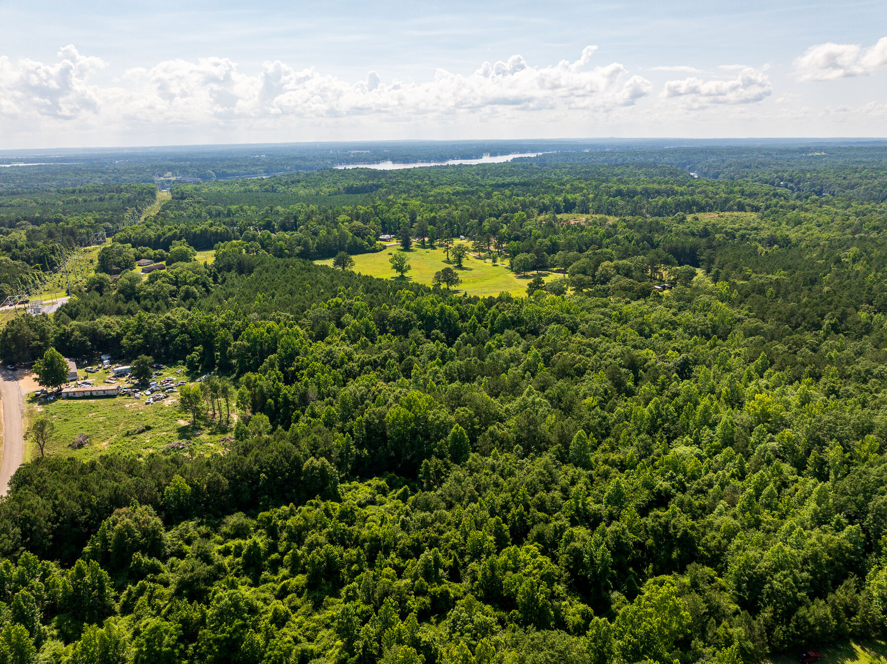 Drone view over thick woods toward a lake on the horizon.