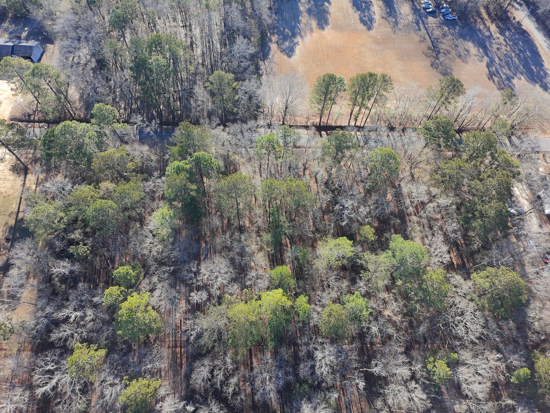 Drone photo looking straight down over the two wooded lots, with the paved road along the top and a field beyond.