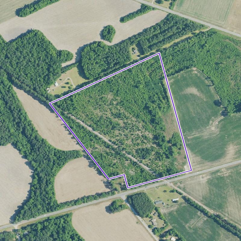 Overhead aerial of the tract outlined, NC 71 along the south, an old rail bed running diagonally through the woods.