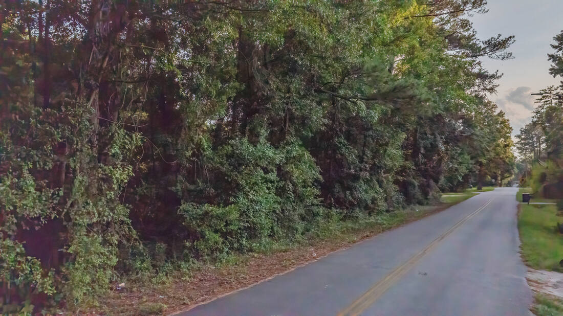 Paved two-lane county road running along the property with tree cover on the property side.