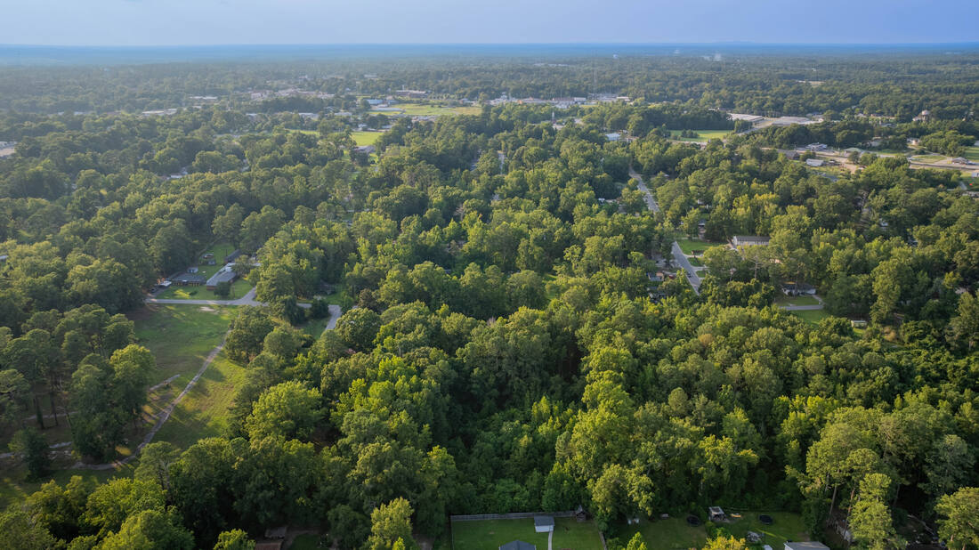 Wide aerial looking across Thomson, Georgia, showing the town and surrounding tree cover.
